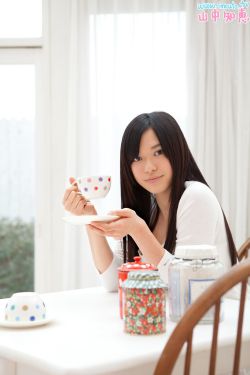 金装的维尔梅免费观看
